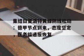 集结日夏洛特黄蜂防线松动：德甲节点到来，态度坚定，医务组通报恢复的简单介绍-开云体育下载